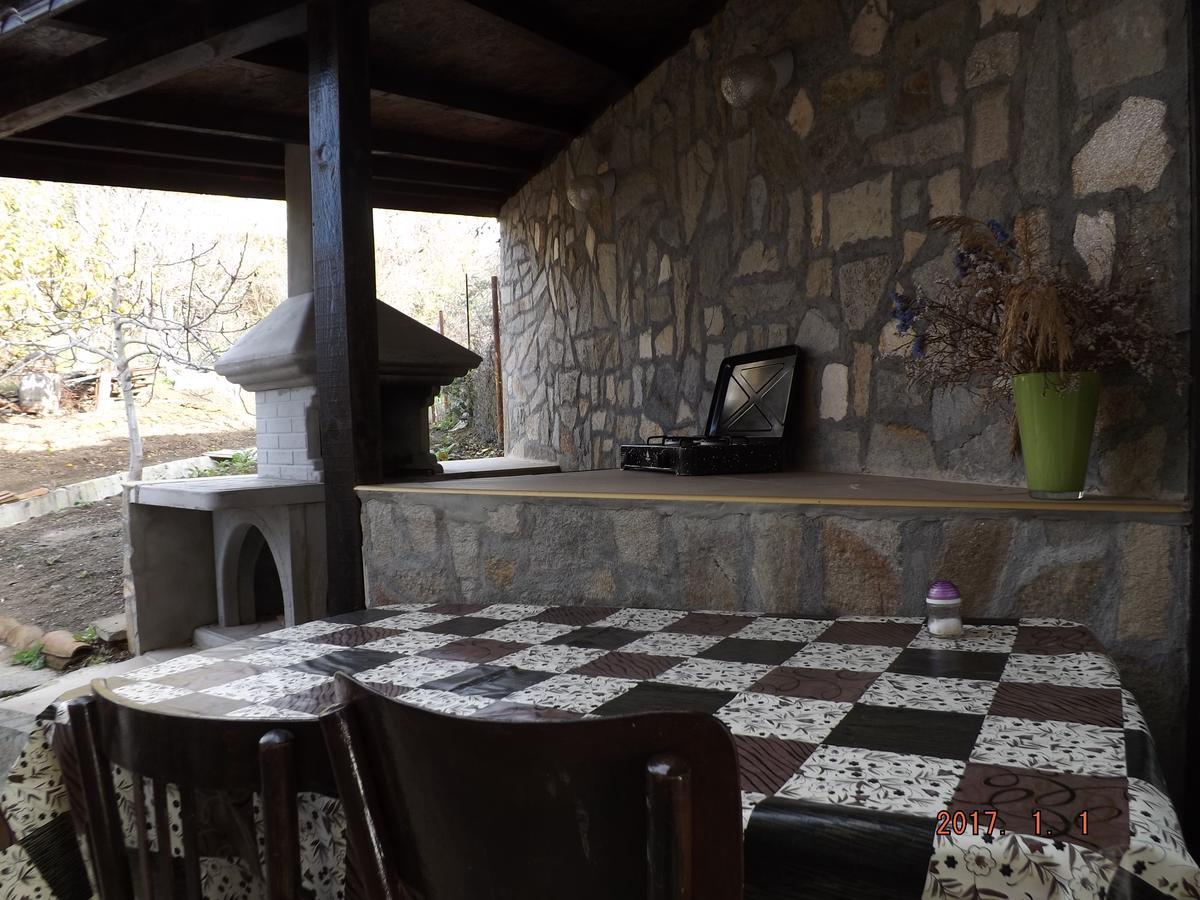 Faina Guest House レゾヴォ エクステリア 写真